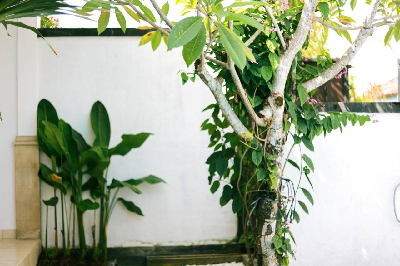 Adi Guest House ชังกู ภายนอก รูปภาพ