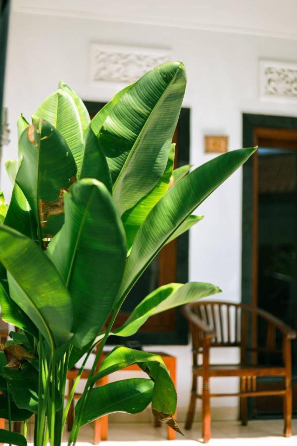 Adi Guest House ชังกู ภายนอก รูปภาพ