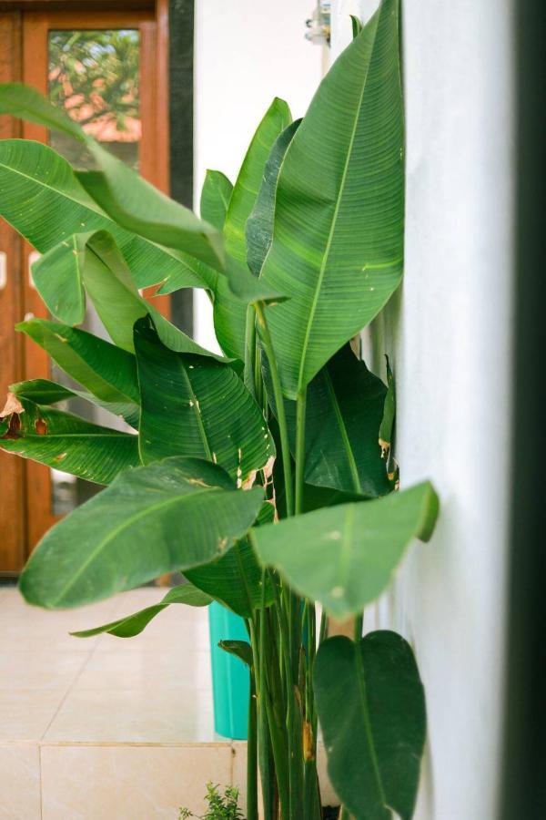Adi Guest House ชังกู ภายนอก รูปภาพ